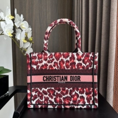 Christian Dior Shopping Bags